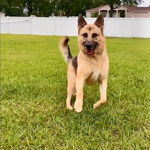 10% OFF if u purchase more than 1 item